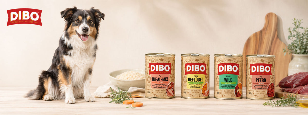 Dibo Nassfutter