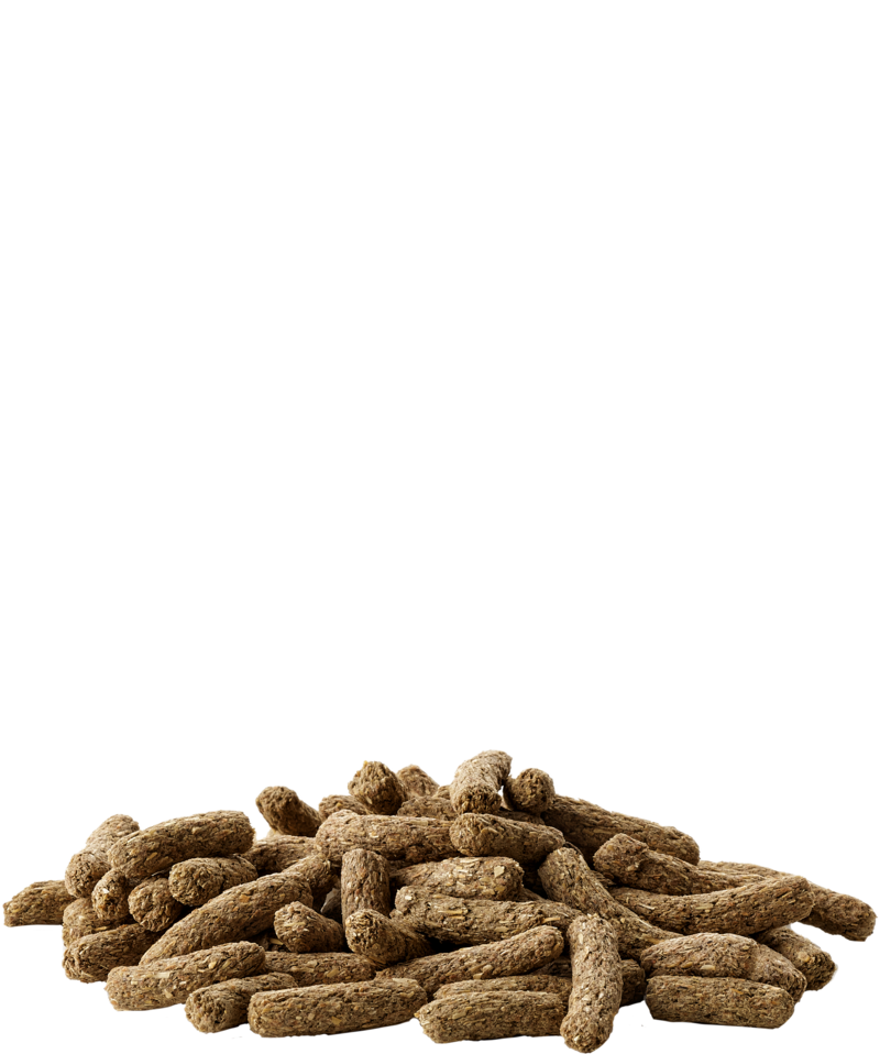 Complete Cavia