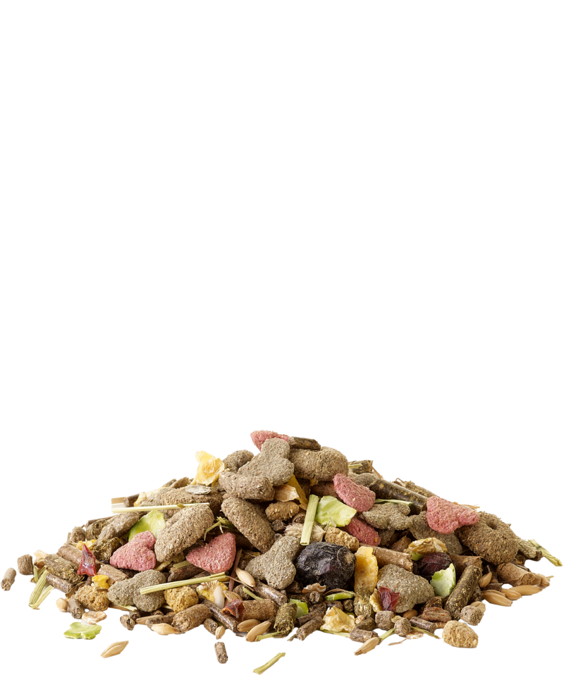Crispy Muesli Meerschweinchen von Versele-Laga offen