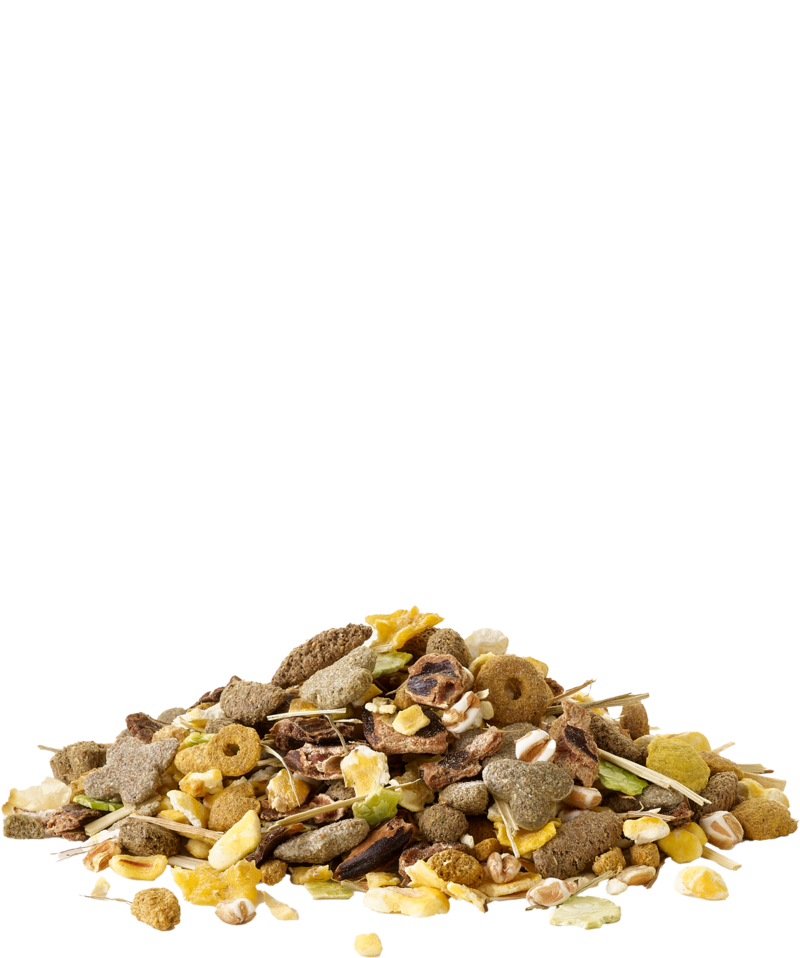 Crispy Snack Popcorn von Versele-Laga