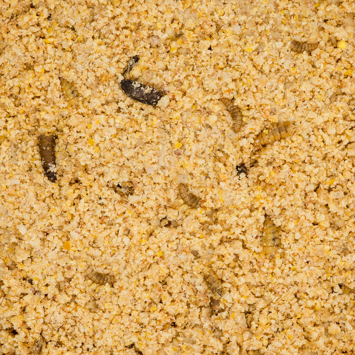 JR Farm Bark-Butter, Soldatenfliegen, offen