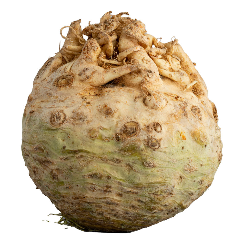 Knollensellerie, 10kg