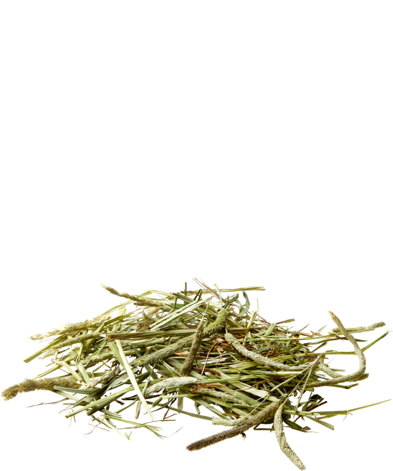 Nature Timothy Hay,  offen