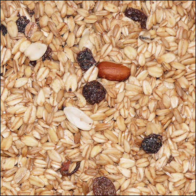Premium Fettfutter