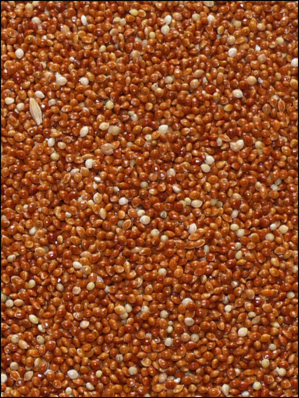 Hirse rot, 25kg