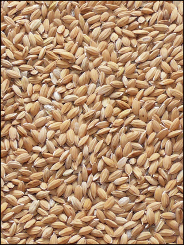 Paddy-Reis, 20kg